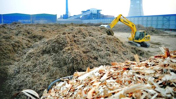 大城縣生物質發電公司料場正在垛料操作