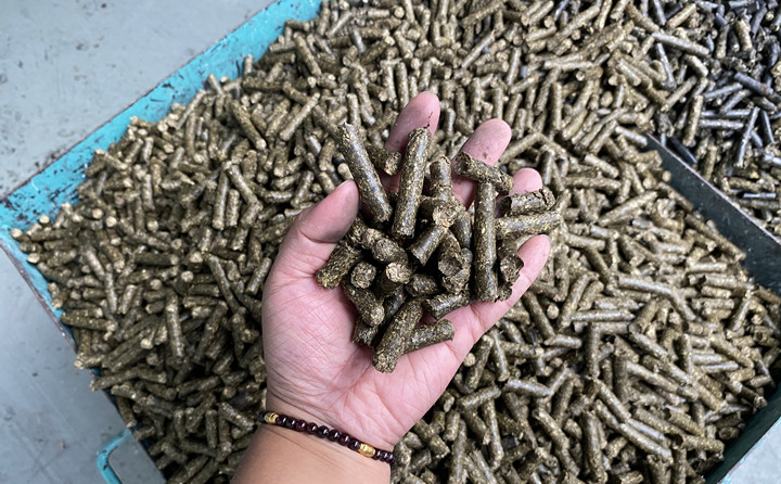 木屑制粒機(jī)生物顆粒真正實現(xiàn)燃料變廢為寶